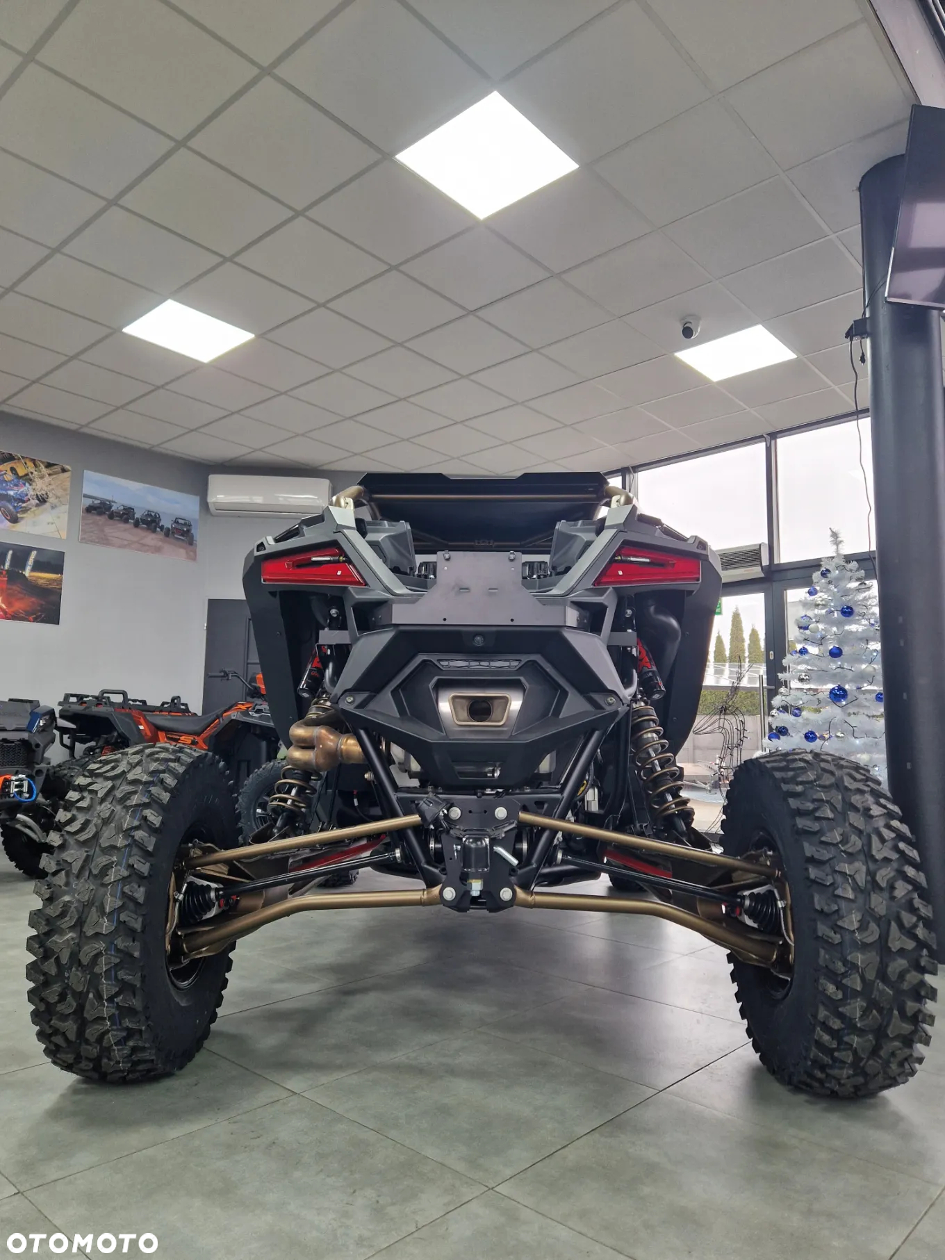 Polaris RZR - 6