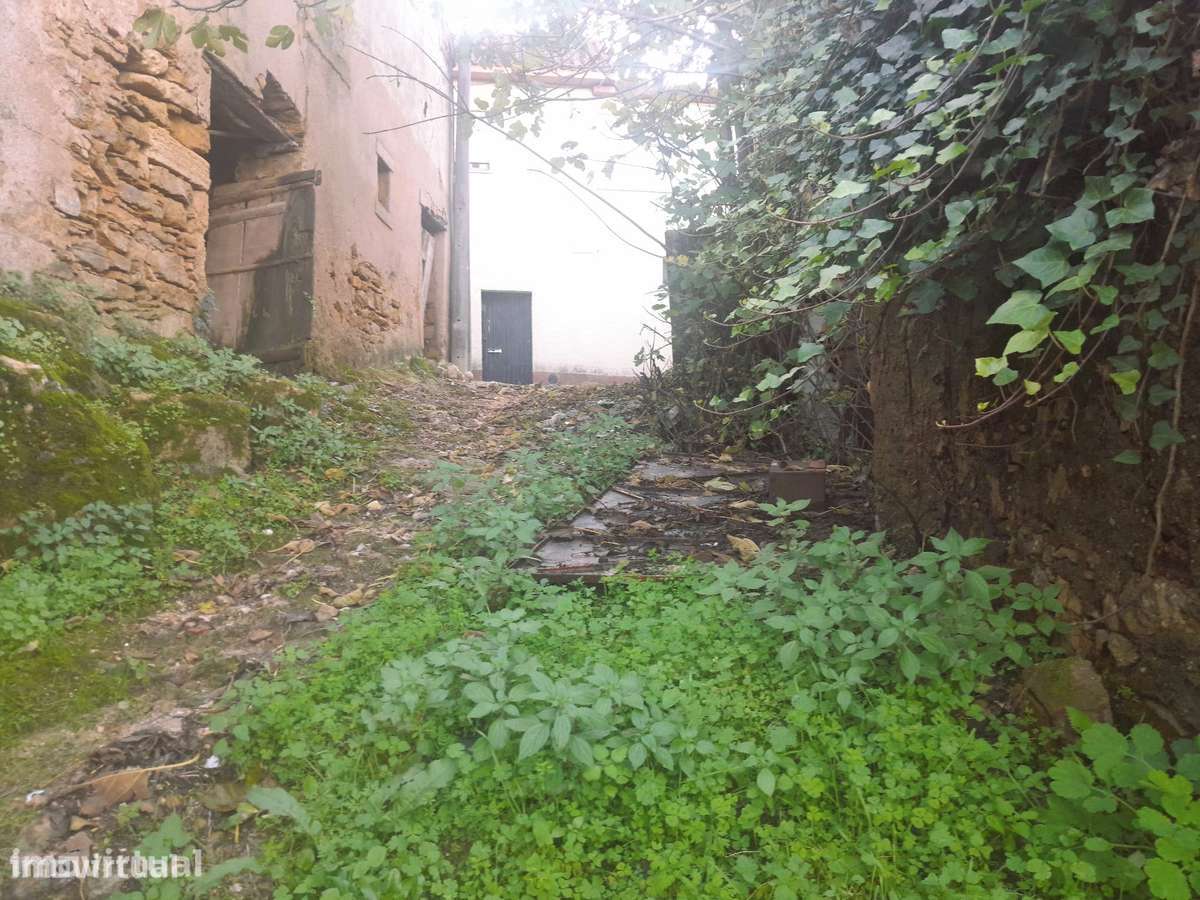 Casa Rústica para Remodelação – Almalaguês, Coimbra - Grande imagem: 5/8