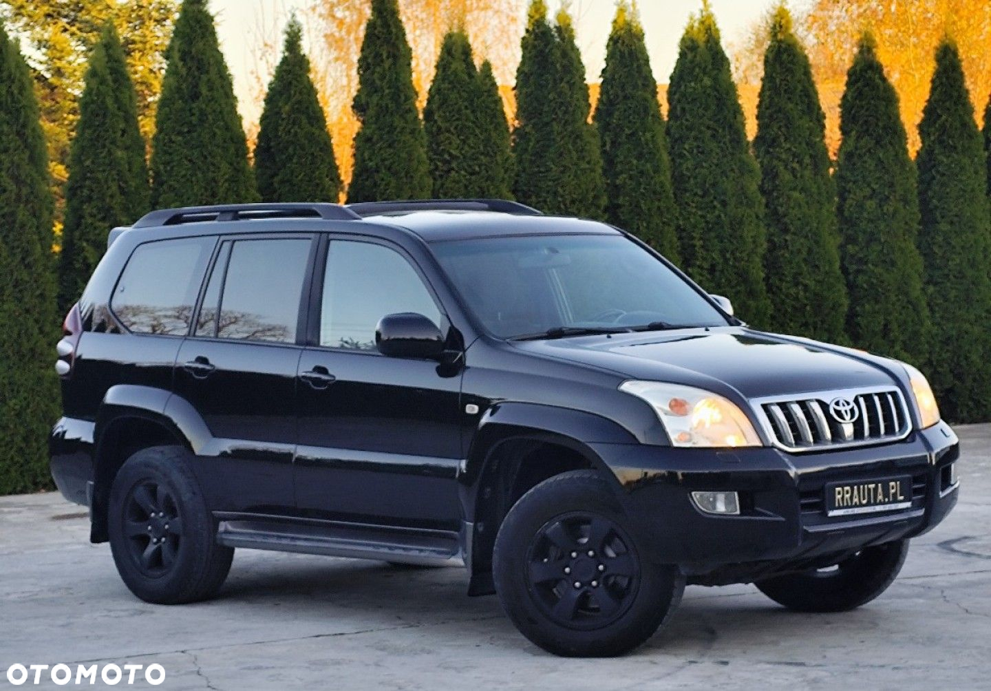 Toyota Land Cruiser - 27