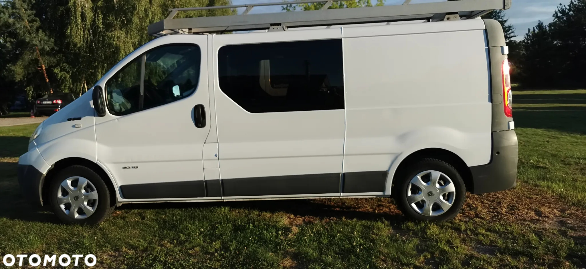 Renault Trafic - 7