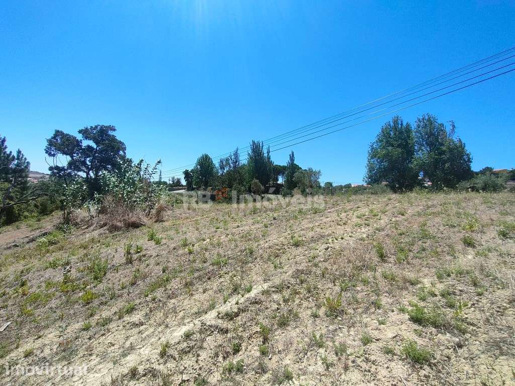 Terreno Rústico com 2.986,7m² - Carregueiros, Tomar - Grande imagem: 3/19