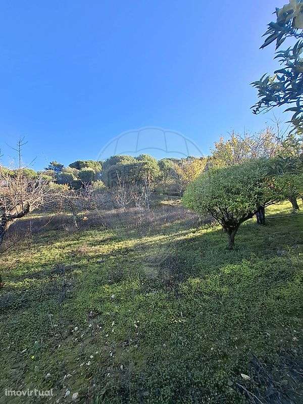 Terreno  para venda - Grande imagem: 4/14