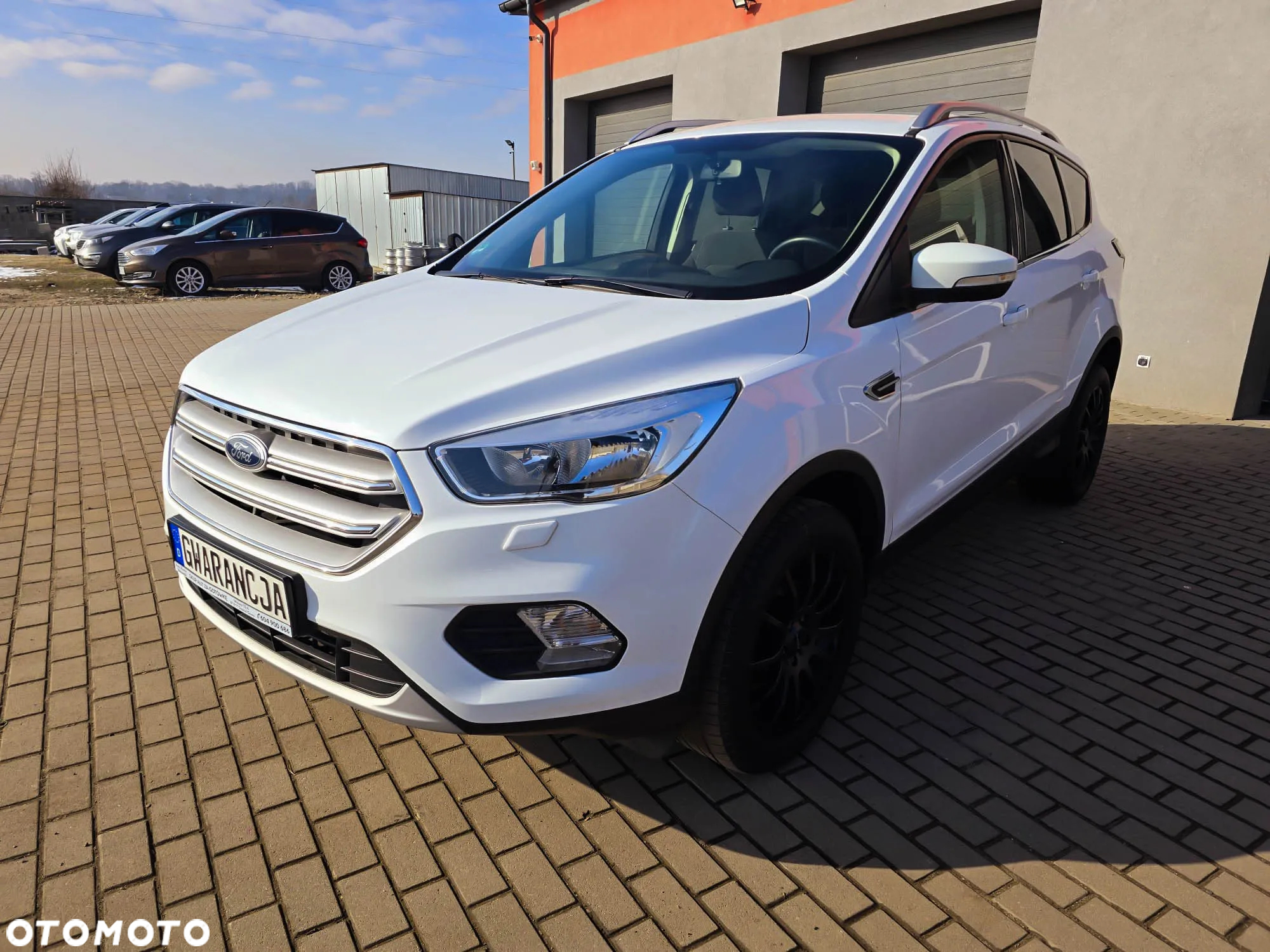 Ford Kuga - 3