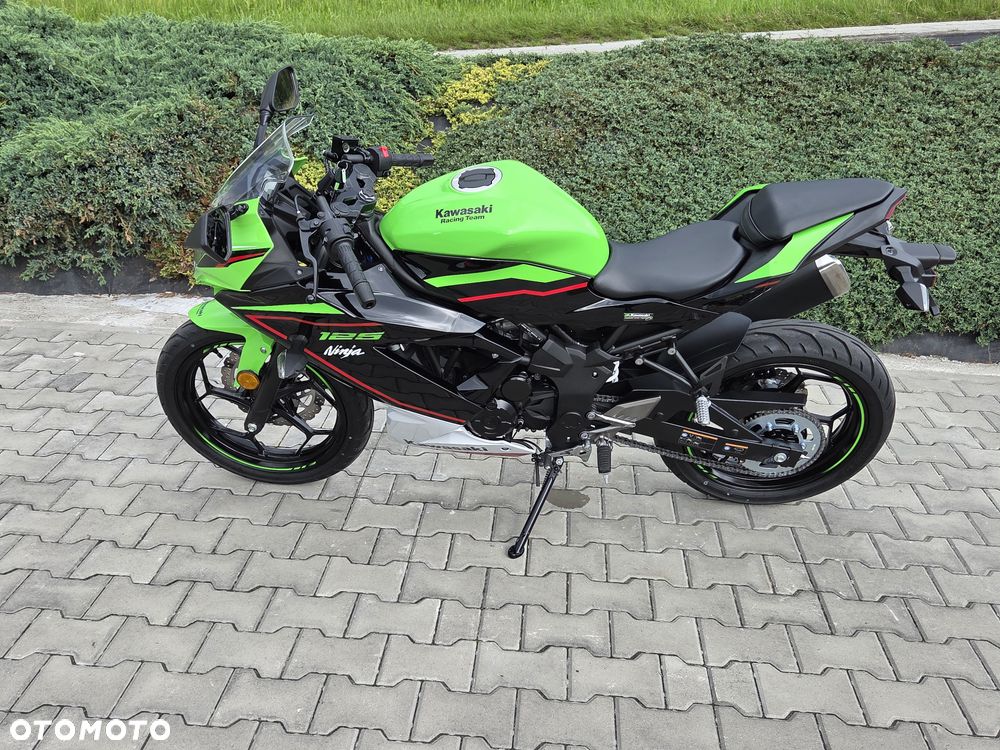 Kawasaki Ninja - 29