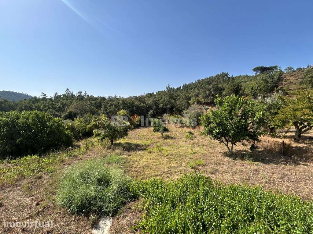 Moradia T7 isolada com garagem, piscina e terreno - Macieira, Tomar - Grande imagem: 4/60