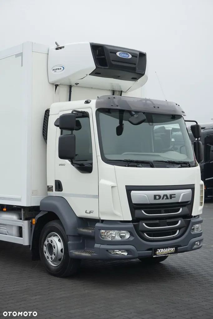 DAF LF / 260 / EURO 6 / CHŁODNIA + WINDA / 17 PALET / ŁAD. 7840 KG - 32