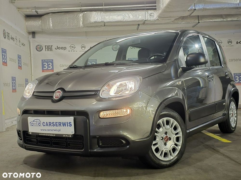 Fiat Panda - 1