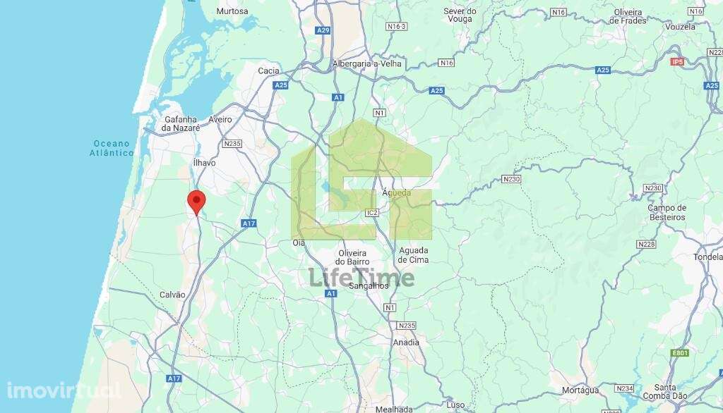 Loja Comércio em Vagos - Grande imagem: 5/8