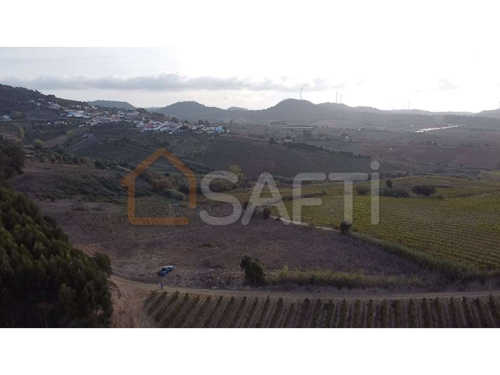 TERRENO RUSTICO - Grande imagem: 2/10