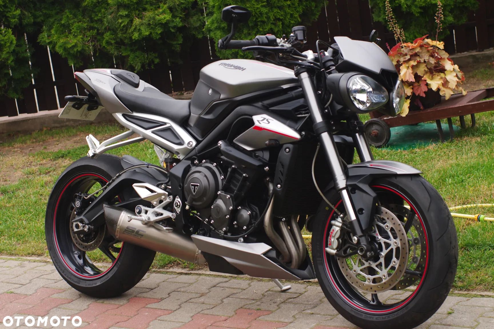 Triumph Street Triple - 1