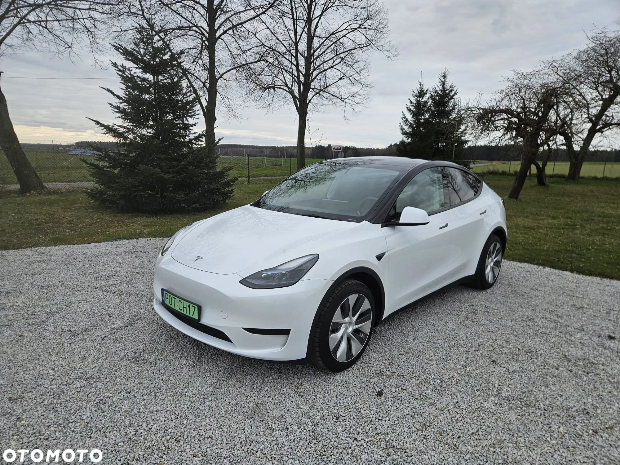 Tesla Y Model RWD - 25