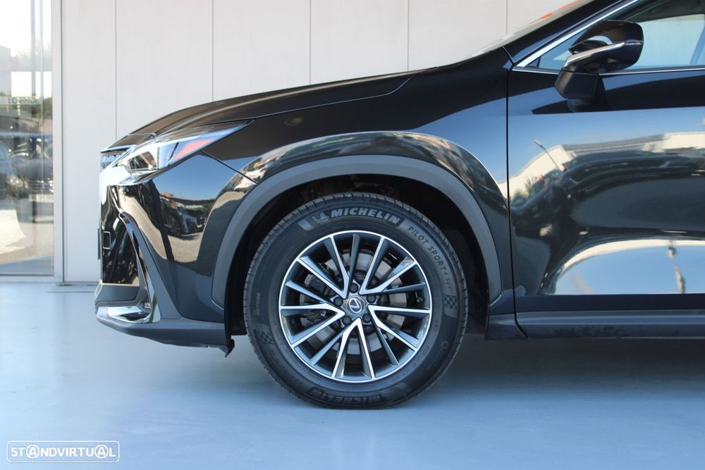 Lexus NX 450h+ Executive - 19