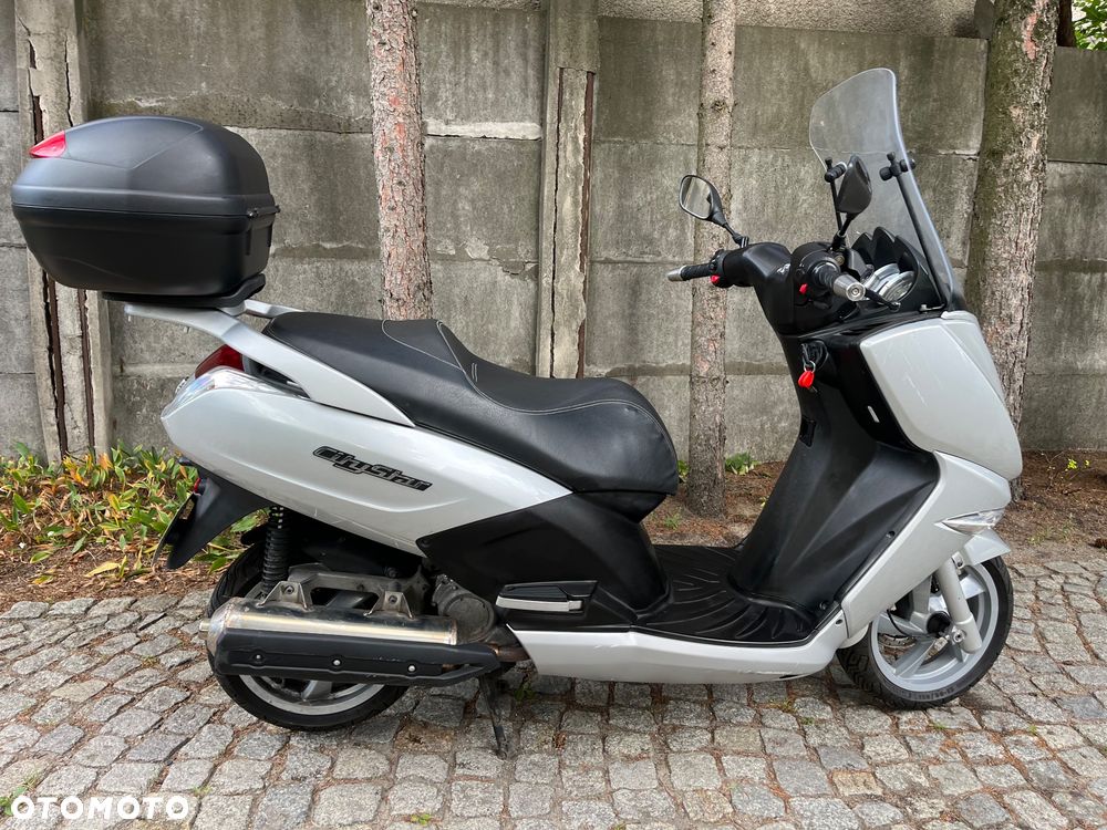 Peugeot Citystar - 6