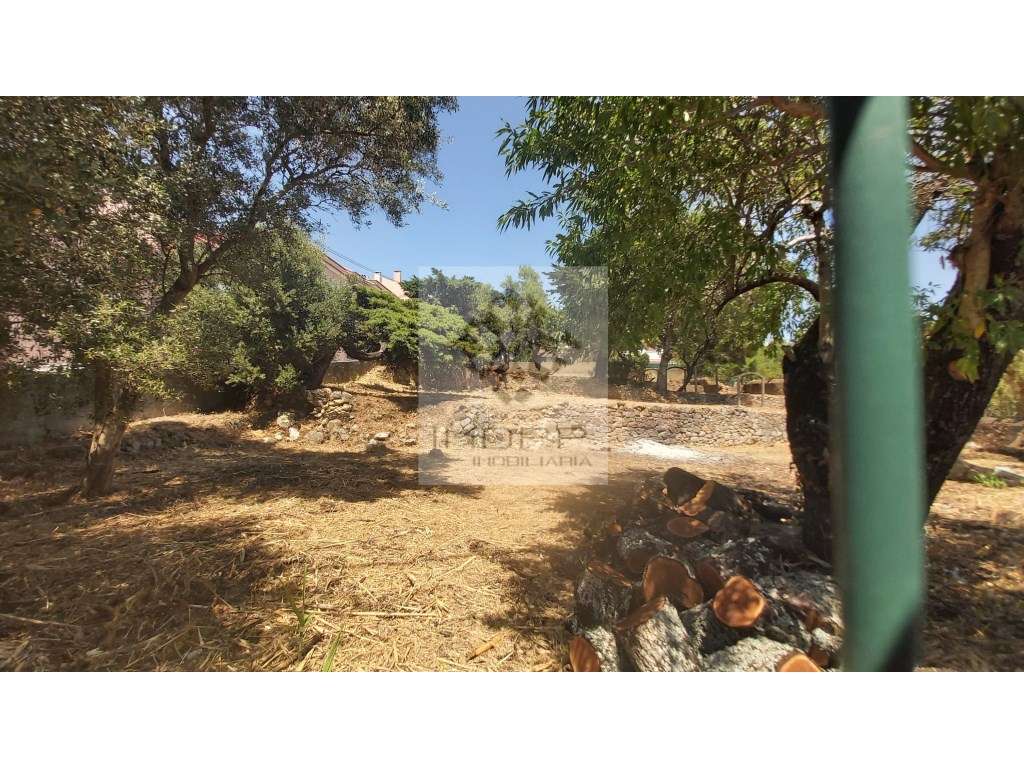 Terreno Exclusivo com 1241 m² para Construção de Moradia de Luxo co... - Grande imagem: 4/18