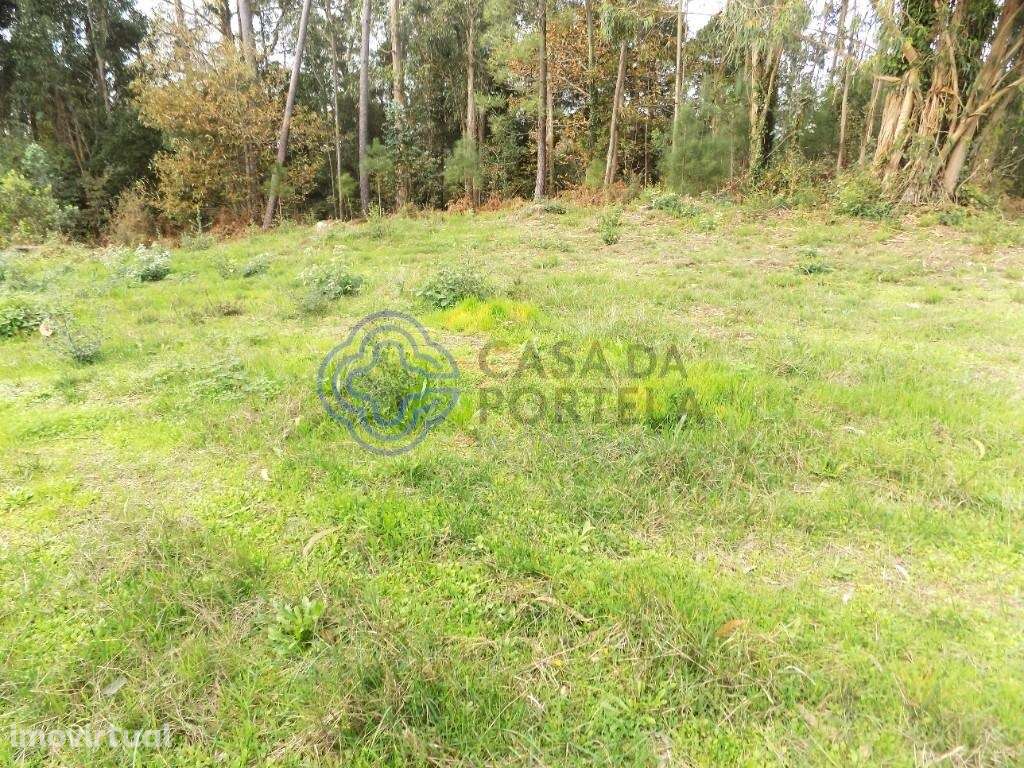 Terreno com 8620 M2. Junto ao Nó da Autoestrada A1. - Grande imagem: 2/12