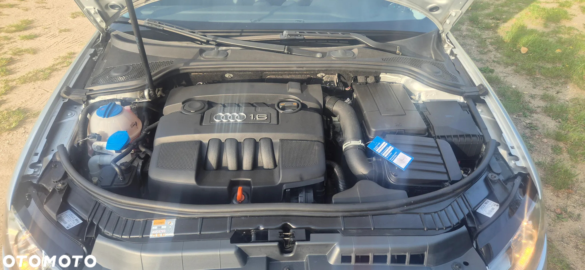 Audi A3 Sportback 1.6 Attraction - 23
