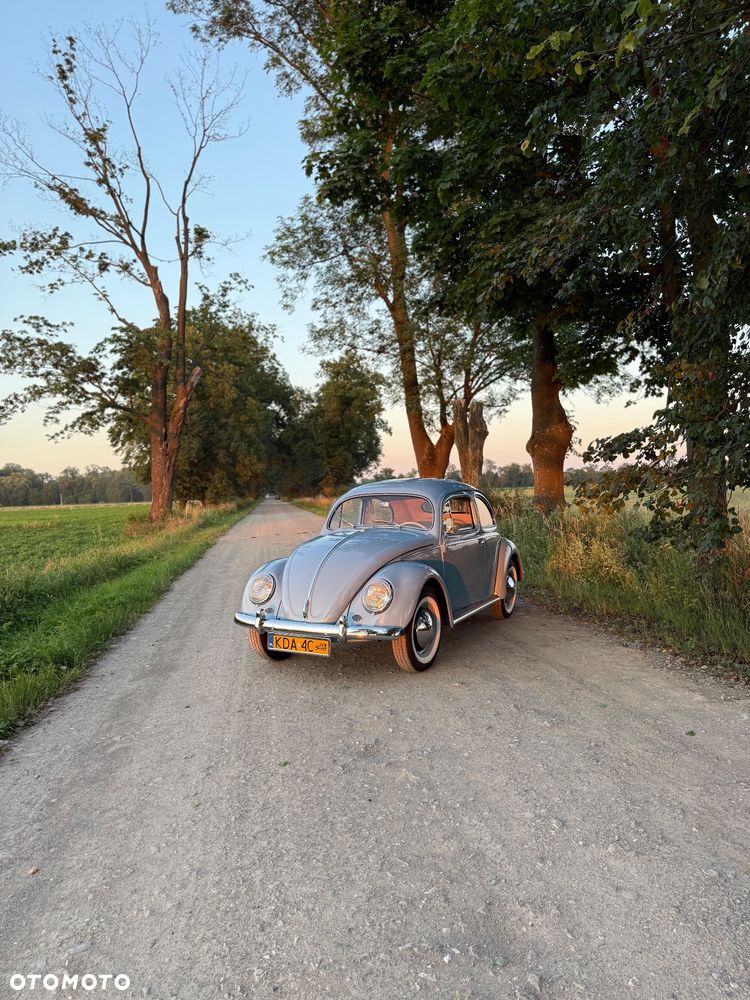 Volkswagen Garbus - 4