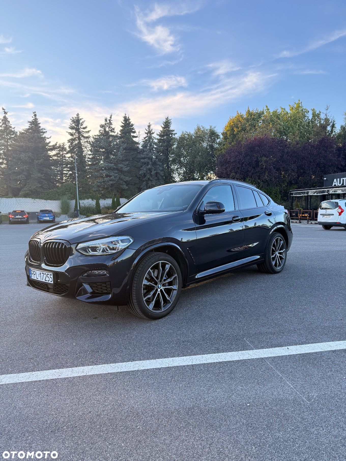 BMW X4 xDrive30i GPF M Sport sport - 1
