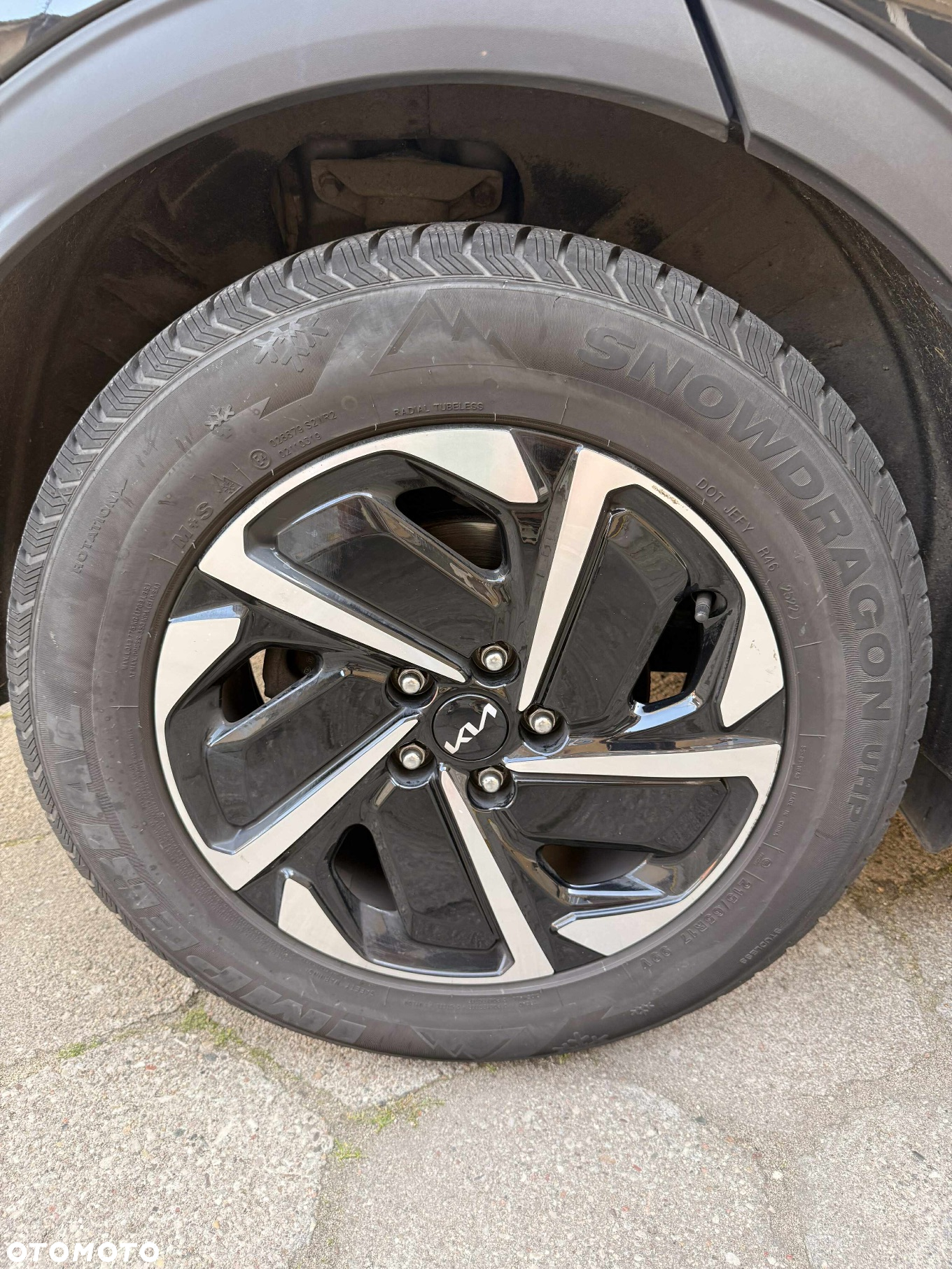 Kia Sportage - 6