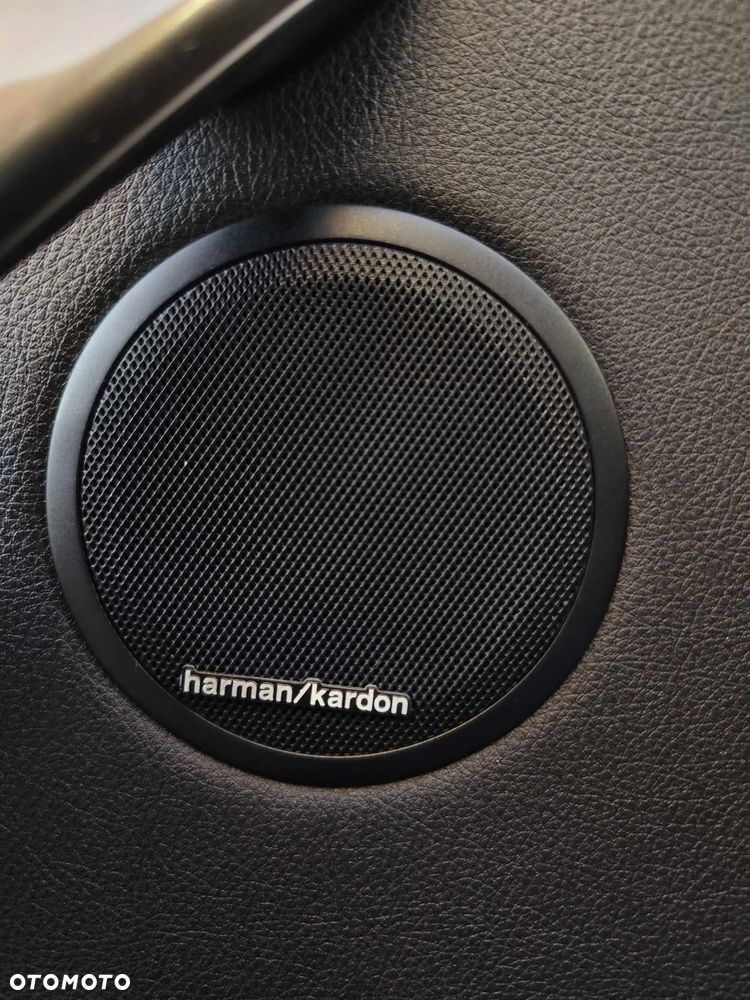 BMW Seria 3 318d Blue Performance - 33