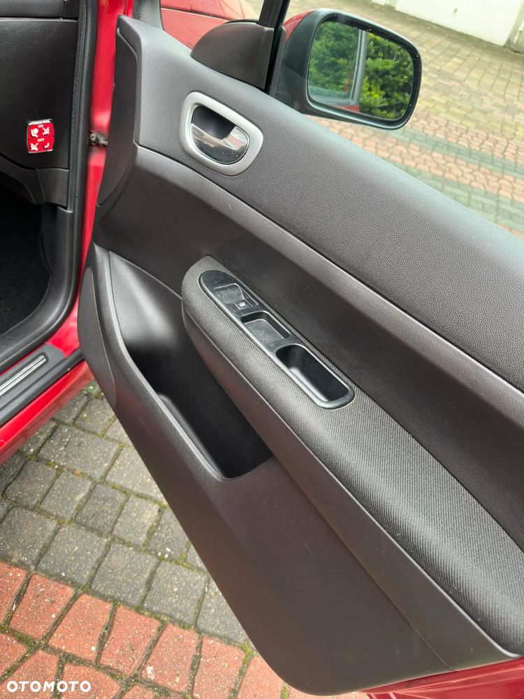 Peugeot 307 1.6 XS - 13