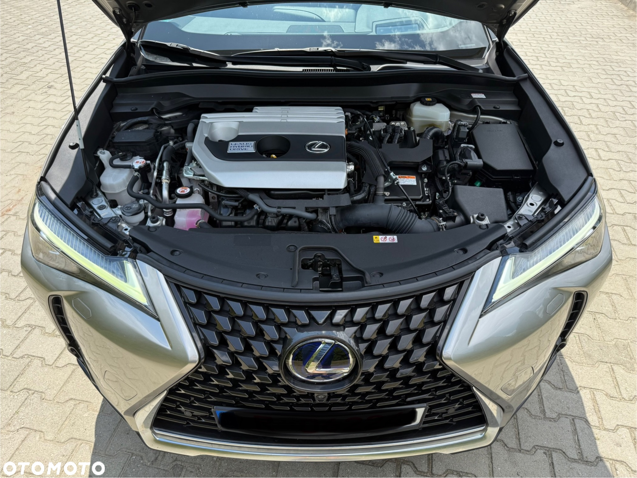 Lexus UX 250h - 22