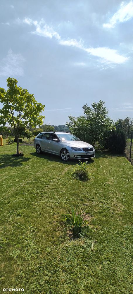 Skoda Octavia 1.6 TDI (Green tec) DSG Ambition - 1