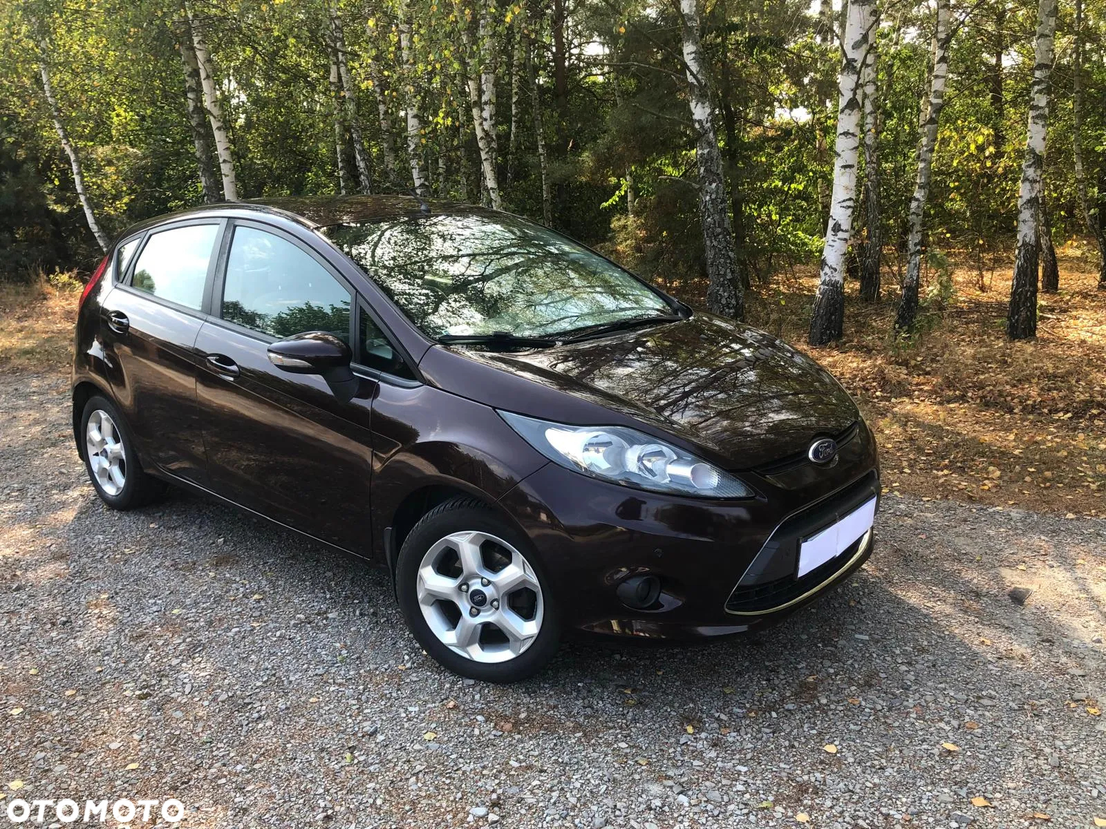 Ford Fiesta 1.25 Gold X EU5 - 2