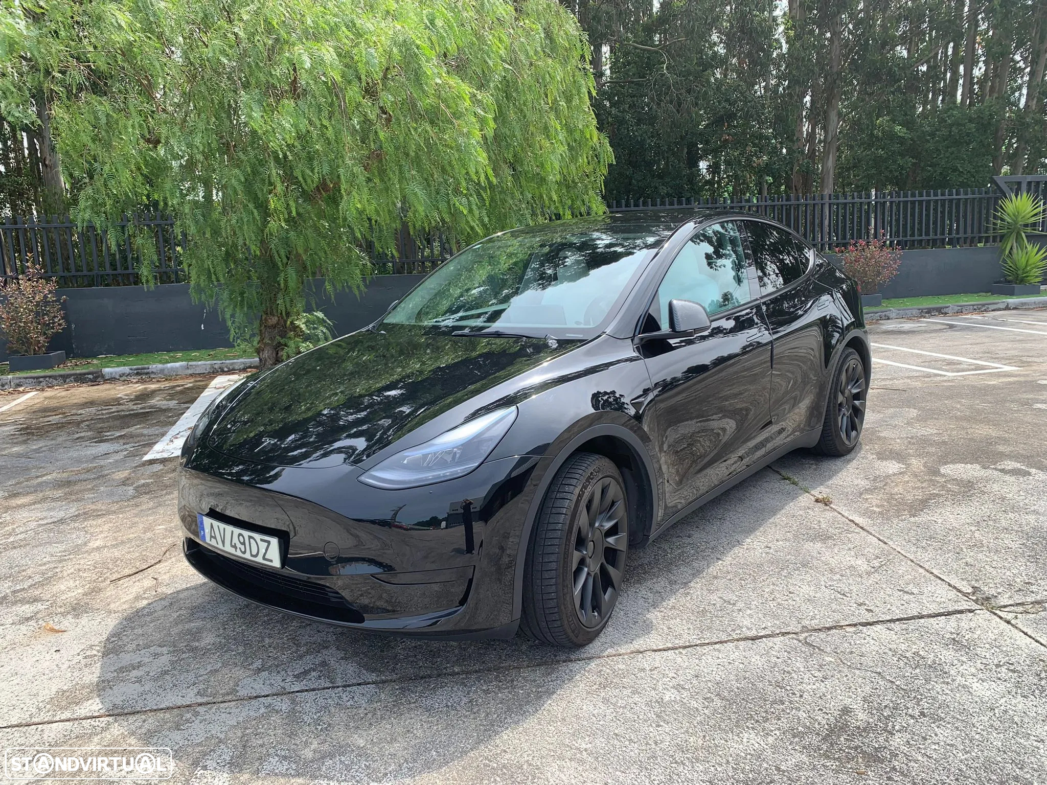 Tesla Model Y Tração Traseira - 5