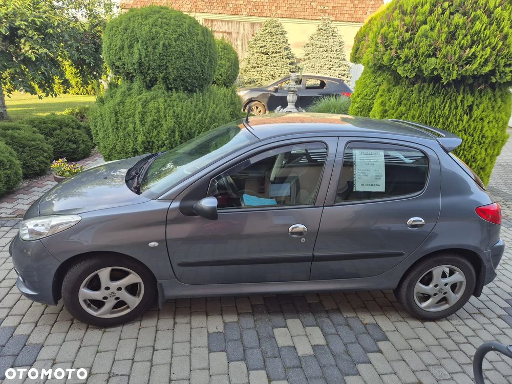 Peugeot 206 plus - 18