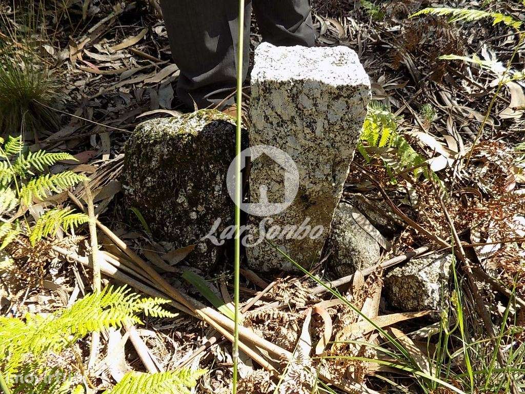 Bouça c/1.500m2 - Arnoso Sta. Eulália - Grande imagem: 4/9