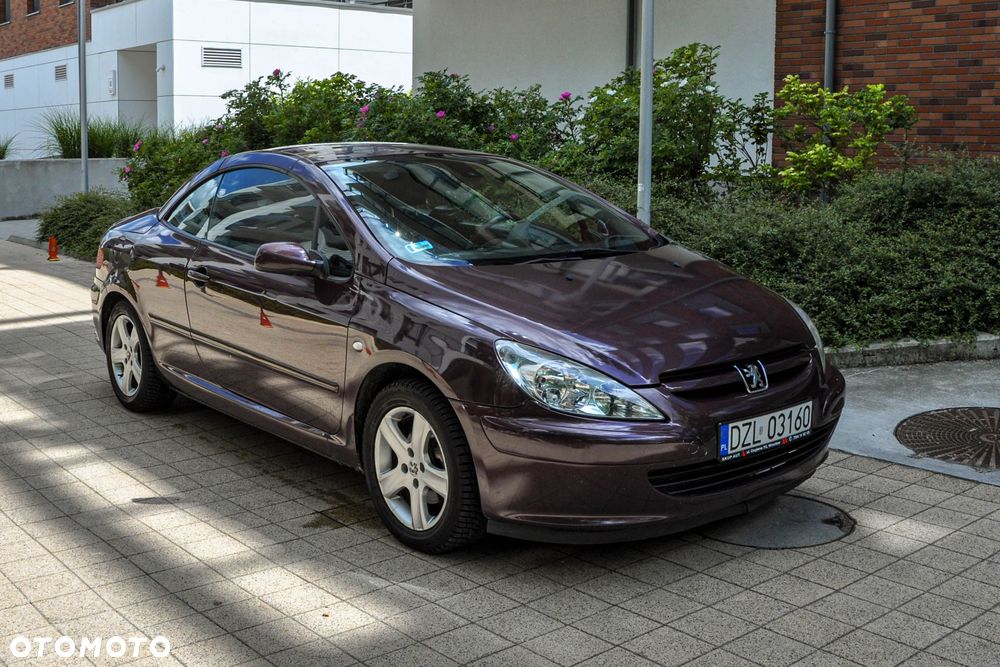Peugeot 307 - 6