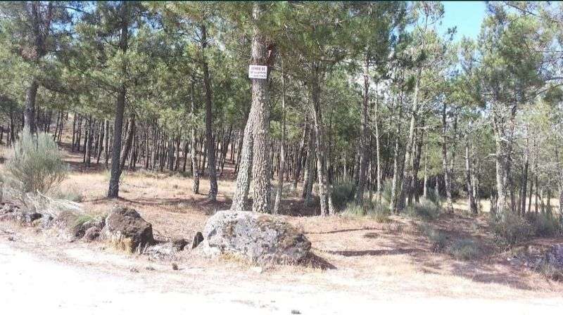 Terreno para venda Guilheiro - Grande imagem: 2/3