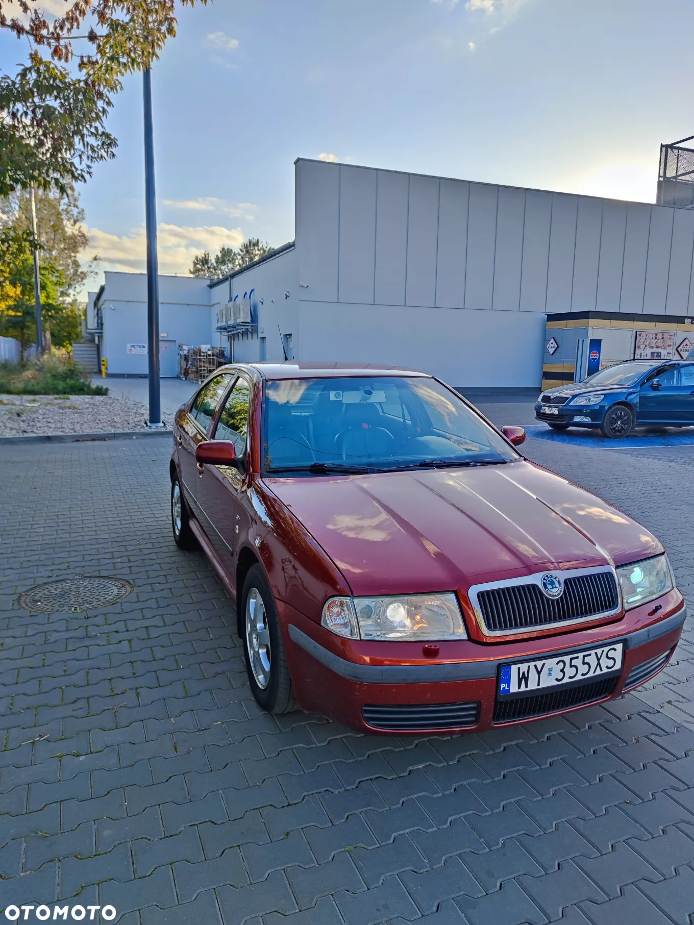 Skoda Octavia 1.9 TDI Elegance - 2