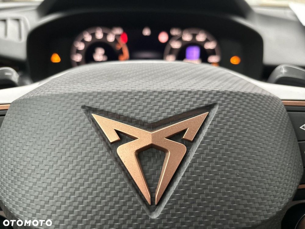 Cupra Terramar 2.0 TSI 4Drive DSG - 21