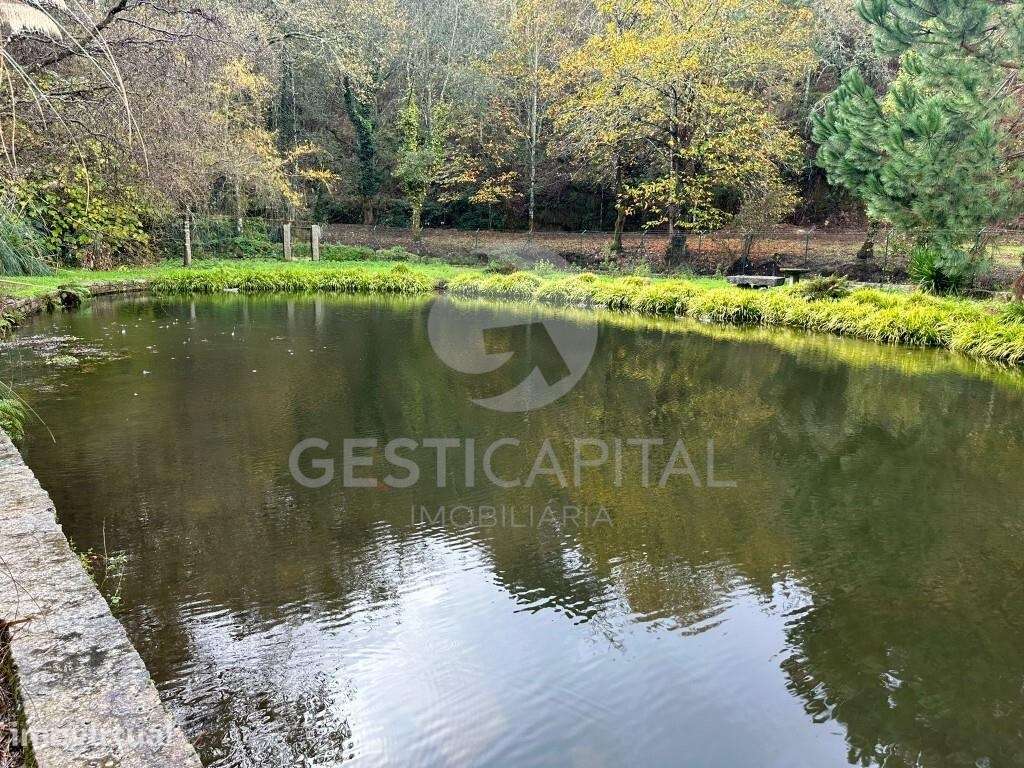 Terreno Rústico com Lagoa no Marco – Um Refúgio de Natureza e Tranquil - Grande imagem: 2/22