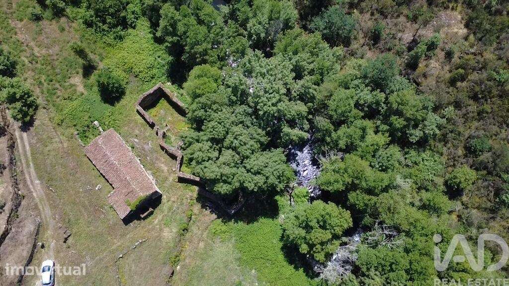 Quinta em Trancozelos de 150 m2 - Grande imagem: 4/32
