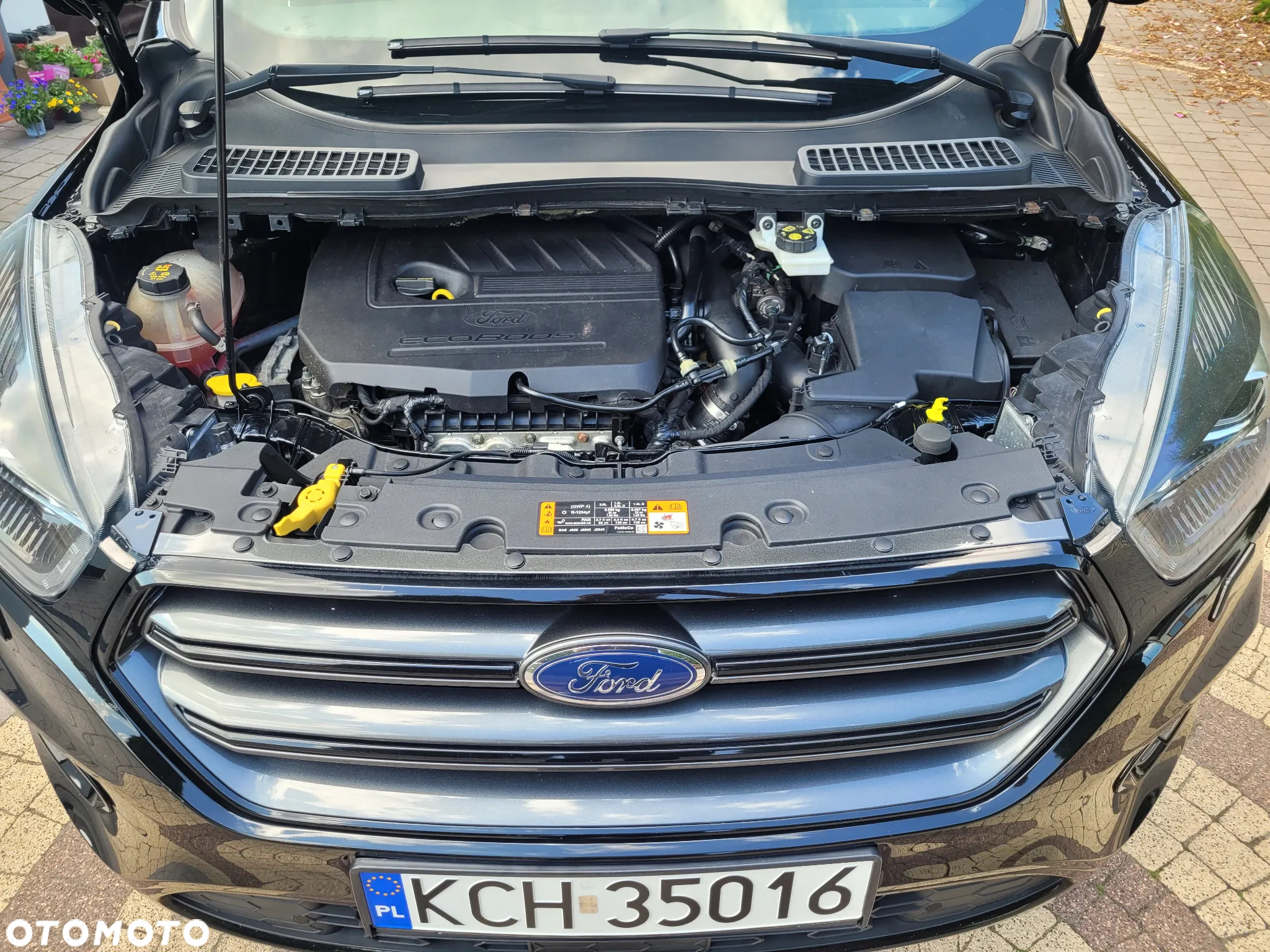 Ford Kuga 1.5 EcoBoost AWD ST-Line Black ASS - 24