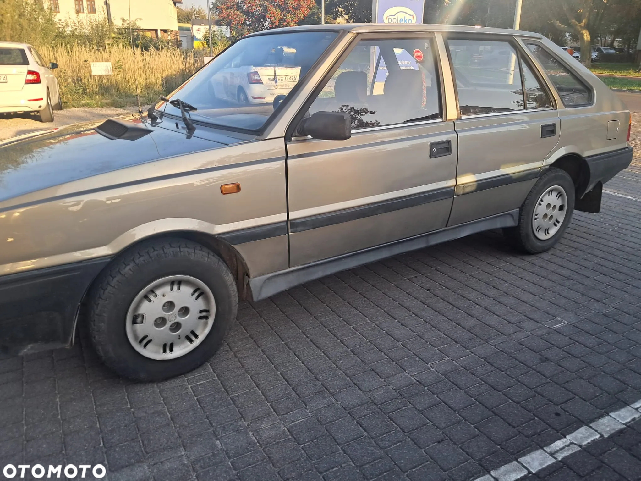 Polonez Caro - 11
