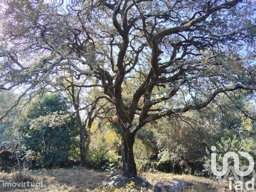 Casa / Villa em Pousaflores de 312 m2 - Grande imagem: 3/38