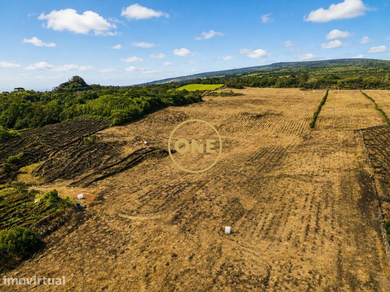 Terreno com vinha à venda na ilha do Pico - Grande imagem: 4/5