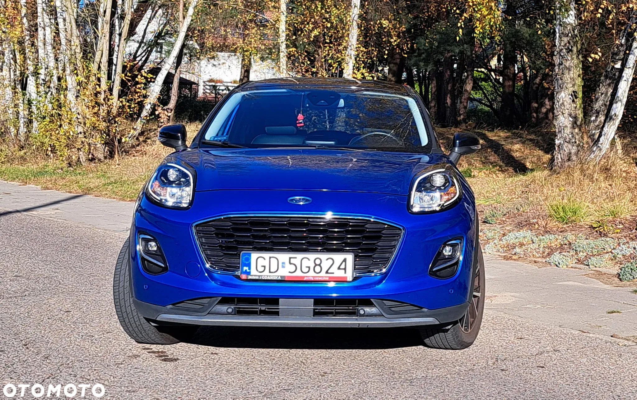 Ford Puma - 3
