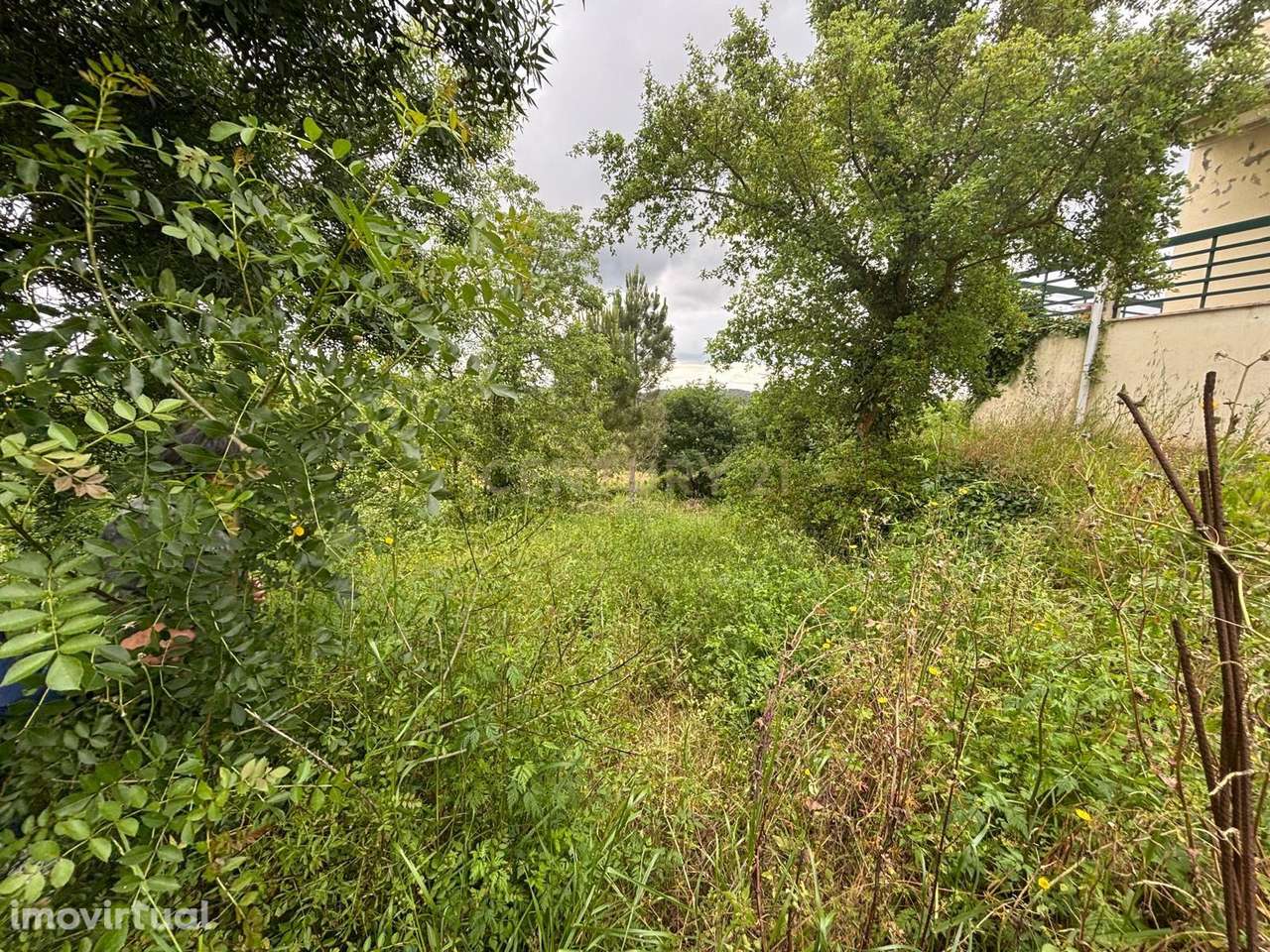 Propriedade com viabilidade construtiva - Soure - Grande imagem: 2/11