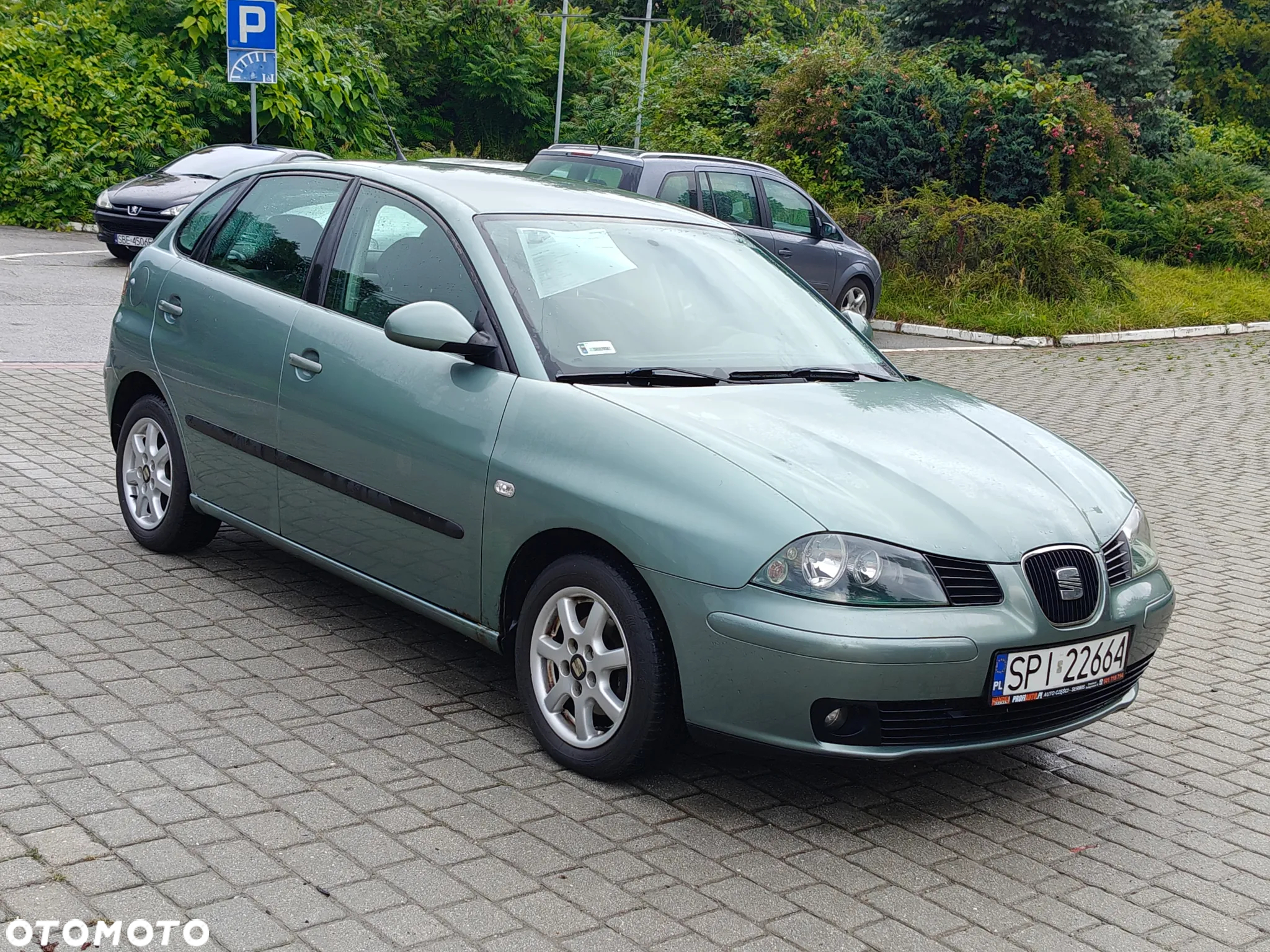 Seat Ibiza 1.4 16V SportRider Cool - 12