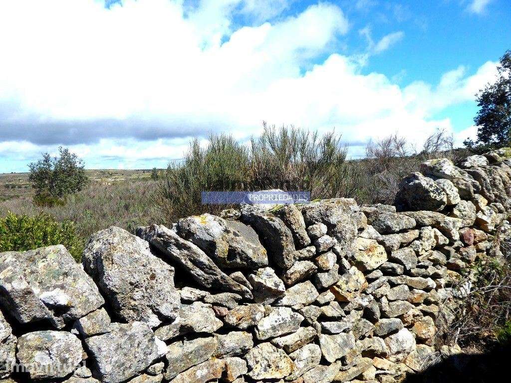 Quinta, herdade de 210.000m2 para agricultura. Portugal, Guarda, F.... - Grande imagem: 2/9