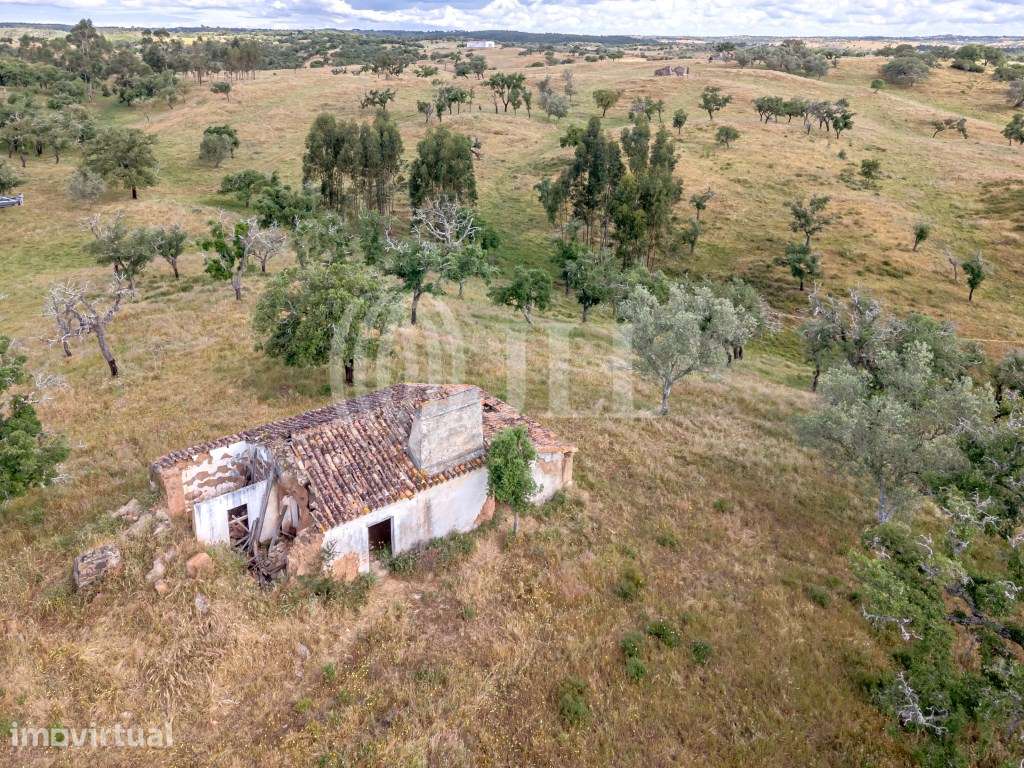 Terreno com 4 hectares na Serra de Grândola, Santiago do Cacém - Grande imagem: 4/27