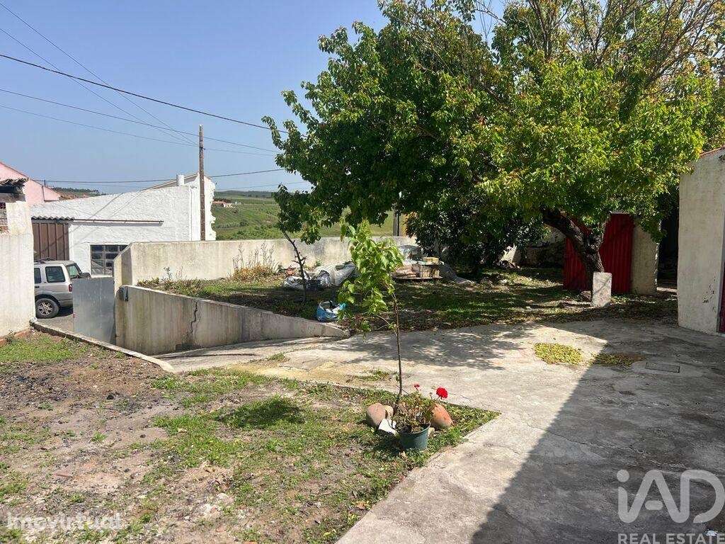 Moradia térrea T2 em Lamas e Cercal de 64 m2 - Grande imagem: 5/39