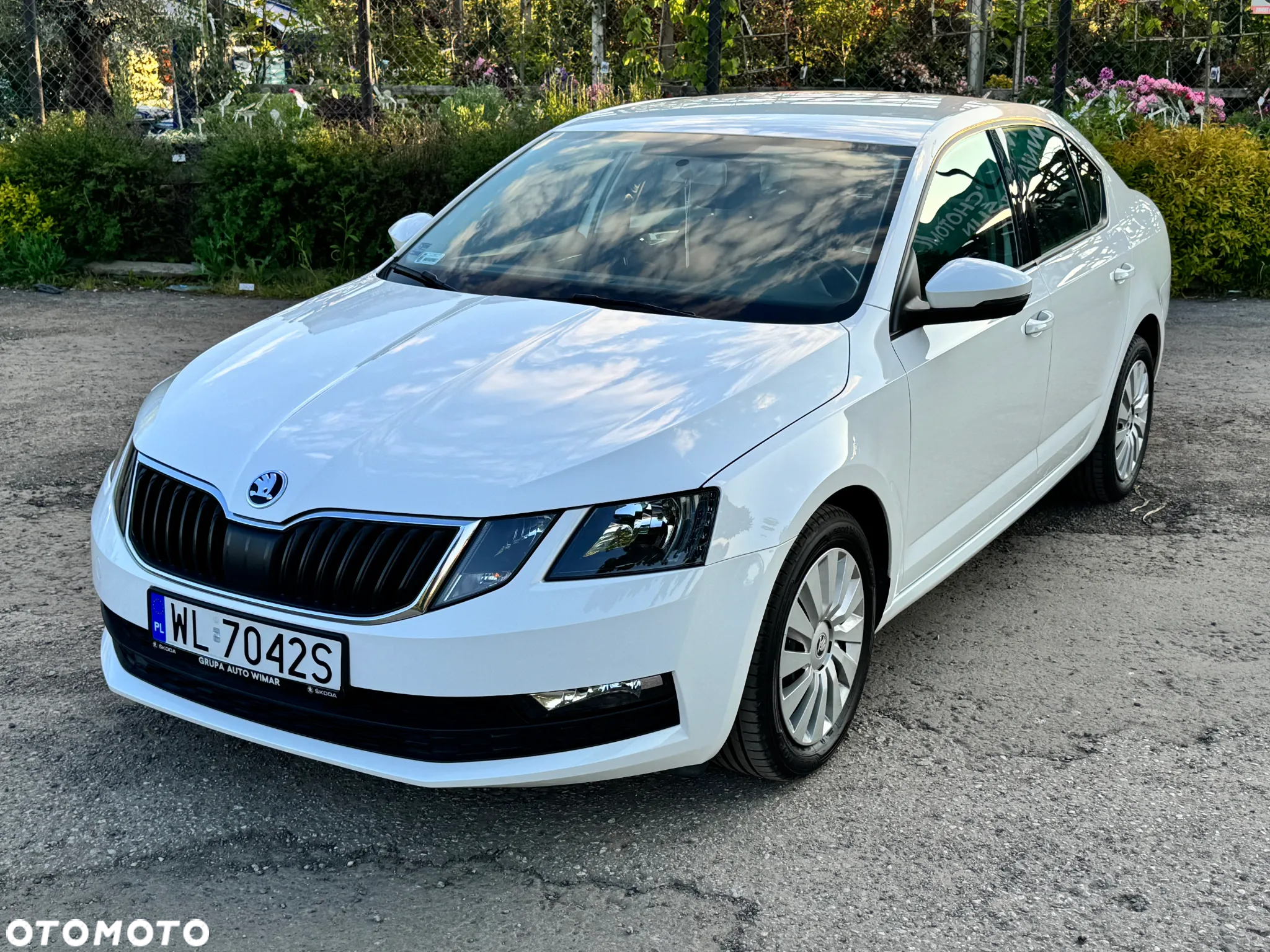 Skoda Octavia 1.4 TSI Active - 3