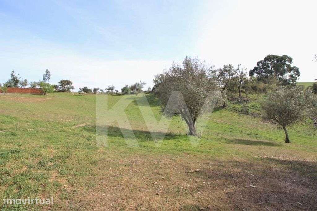 RUINA IMPLANTADA NUM TERRENO COM 6 500 M2, ZONA TRANQUILA,  ALDEIA DOS - Grande imagem: 5/21