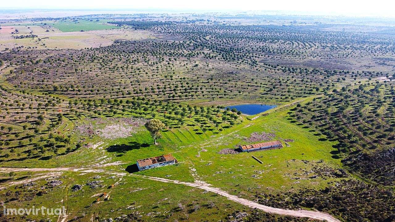 Herdade junto ao Lago de Alqueva - Mourão - Grande imagem: 4/15